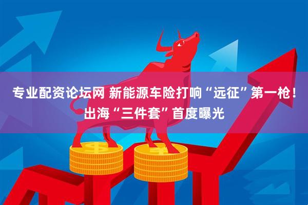 专业配资论坛网 新能源车险打响“远征”第一枪！出海“三件套”首度曝光