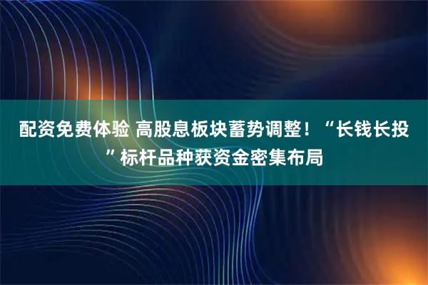配资免费体验 高股息板块蓄势调整！“长钱长投”标杆品种获资金密集布局