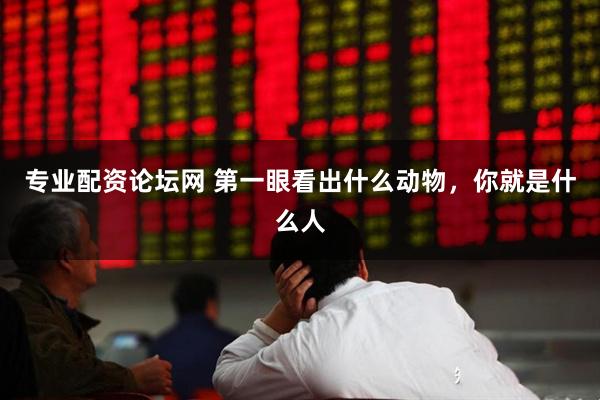 专业配资论坛网 第一眼看出什么动物，你就是什么人